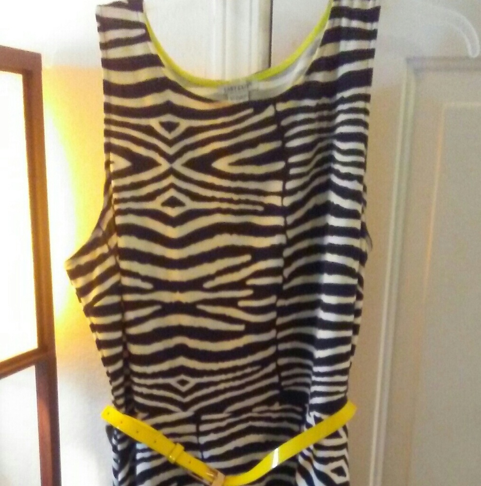 Black, White, and Yellow skater Dress